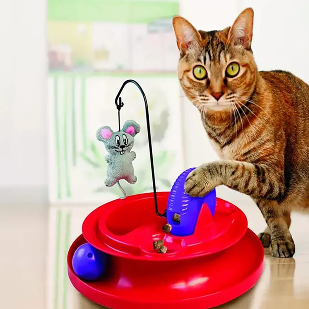 image_50b28eae-569e-4c50-9fa0-5ea7e0cd34e7