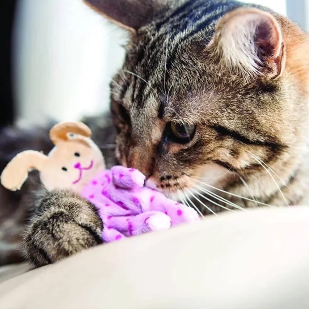 image_b6d752ae-f61b-4600-a51c-ffa73b927e0b