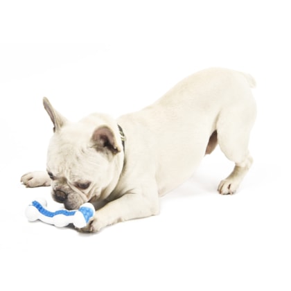 image_7c9db9d6-6741-4d96-86bf-1930e1cf7185