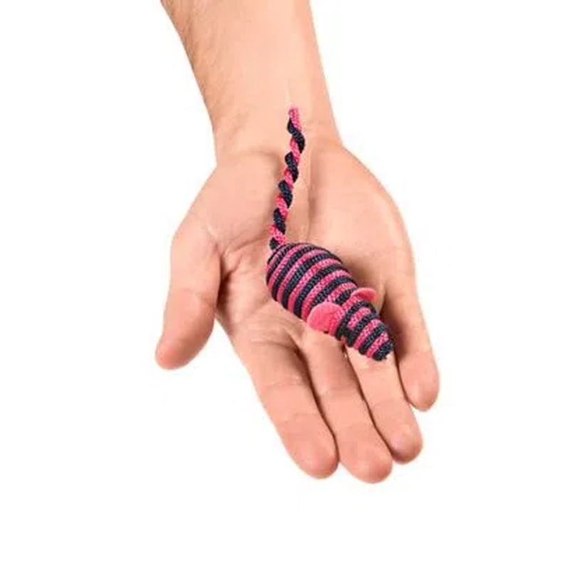 Product main image - bbb08aef-e081-4f32-8c24-2bcb7a533647