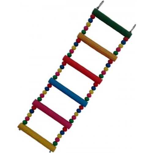 image_cee29de3-8675-4b43-ad94-b58ef4841e94