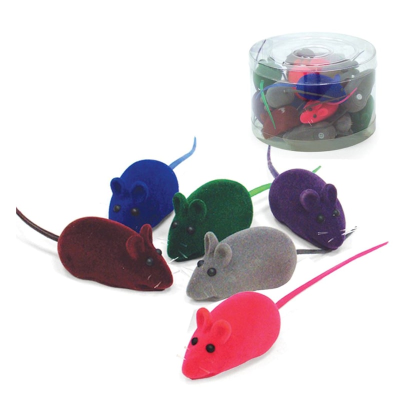 Product main image - c597a2a8-4bd5-41bc-bb28-1ff947ef7608