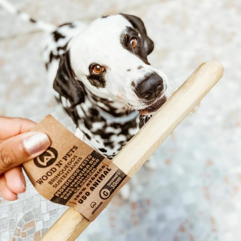 image_8acb8a34-cac8-49da-983f-cf61dd7352d6