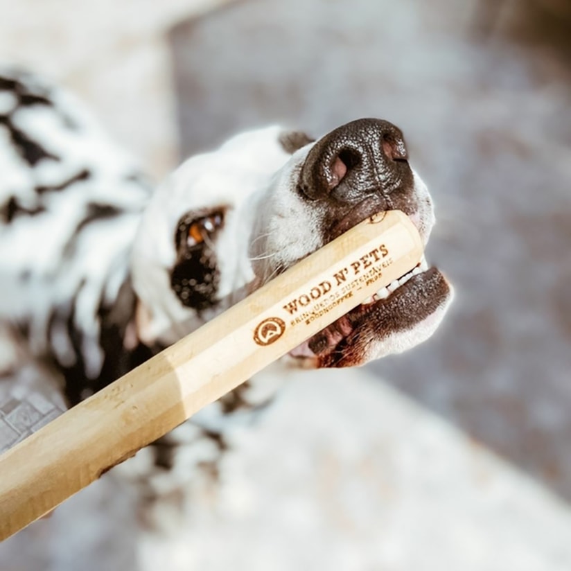 Product main image - 7e0f5109-a148-449a-98fd-54e5639674bf