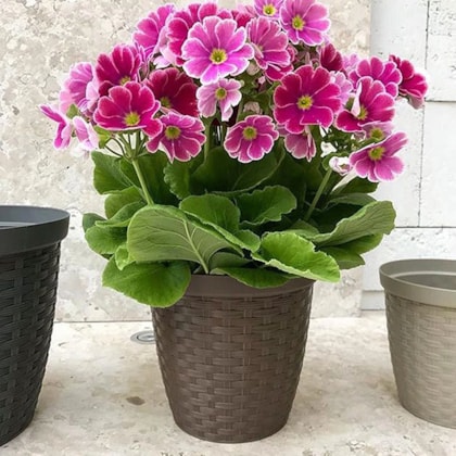 image_55b80b0e-7d92-469b-a270-42ea0585e7de