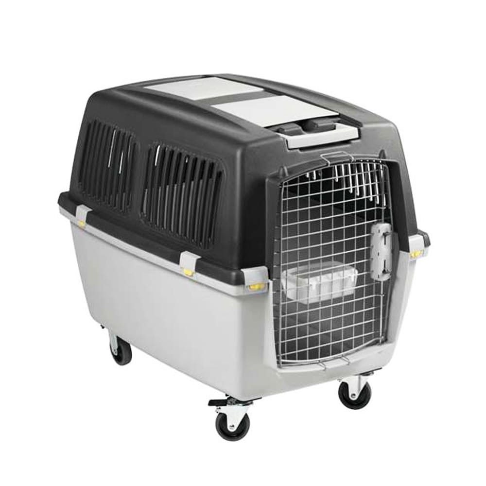 image_bacc54ce-e4f6-47e6-8128-fa8c211b4809