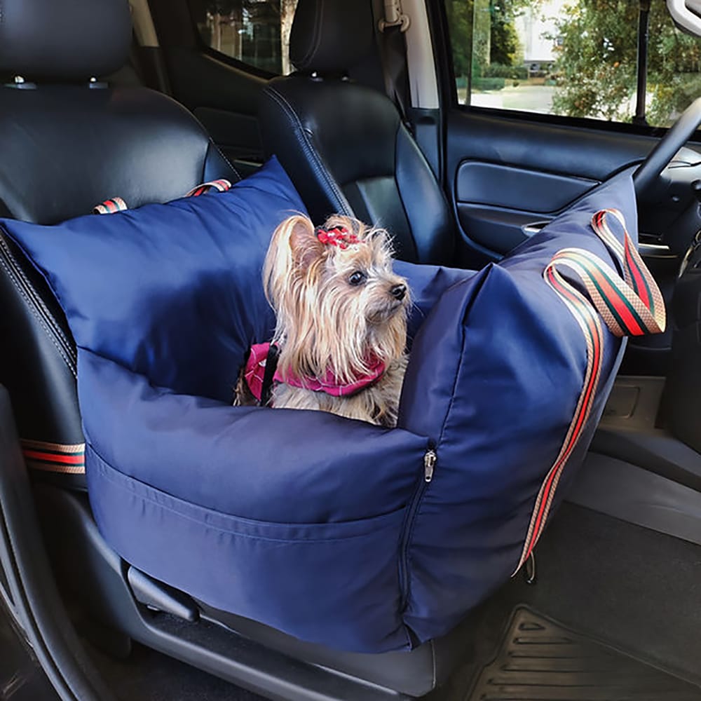 image_29284376-5b49-490d-bf89-8458534d6277