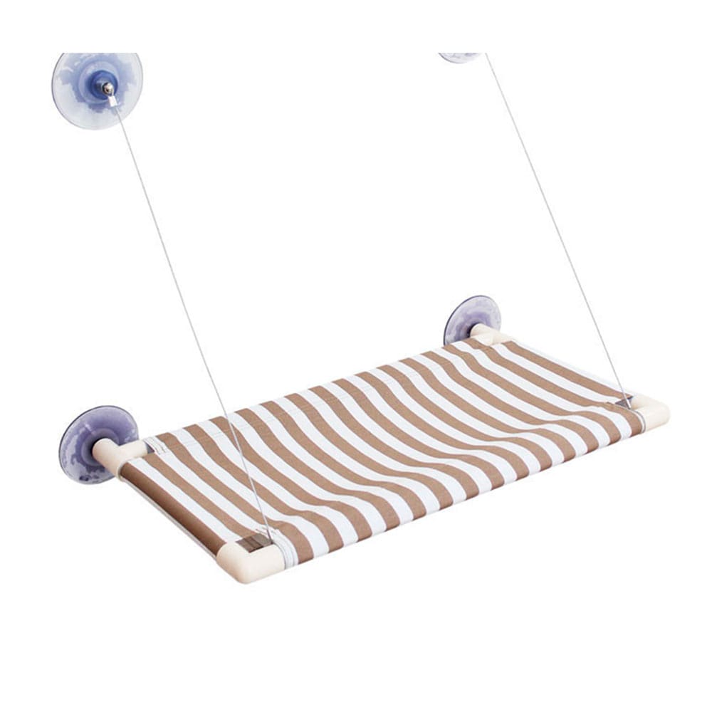 image_009ac034-0bf4-4b60-b192-1e8dd8b49935