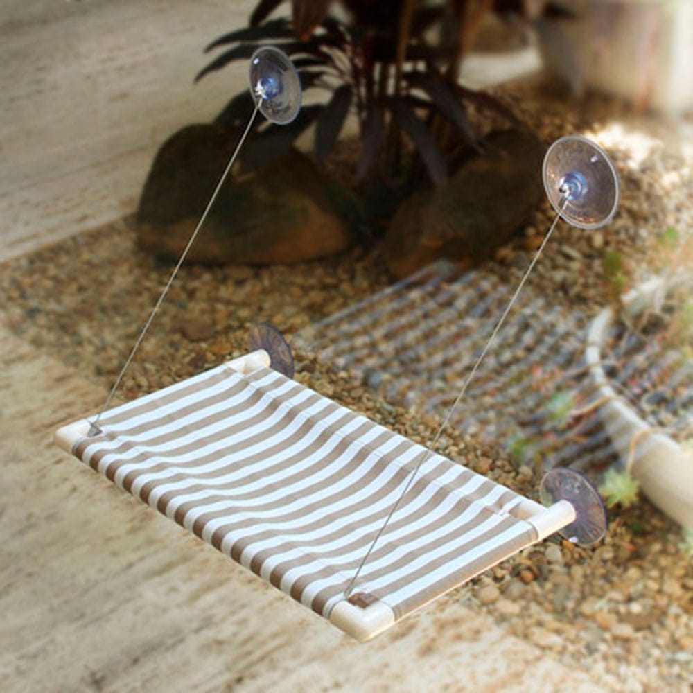 image_36d32ea4-fc62-407b-a792-d409ab20c628