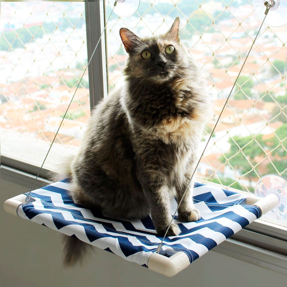 image_493912c0-7709-4d0c-8ee8-e4bf18ffdad5