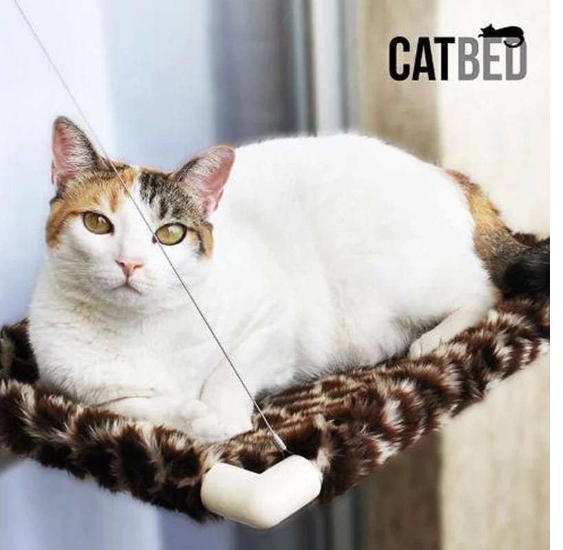 image_380473df-ad47-469b-92f1-82847958d8df