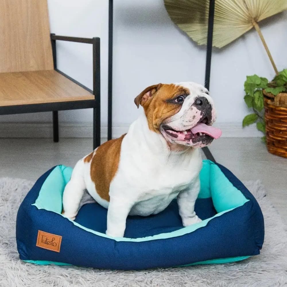 image_bdaed8ea-0b6d-4d35-ae75-bad7bdfb521a