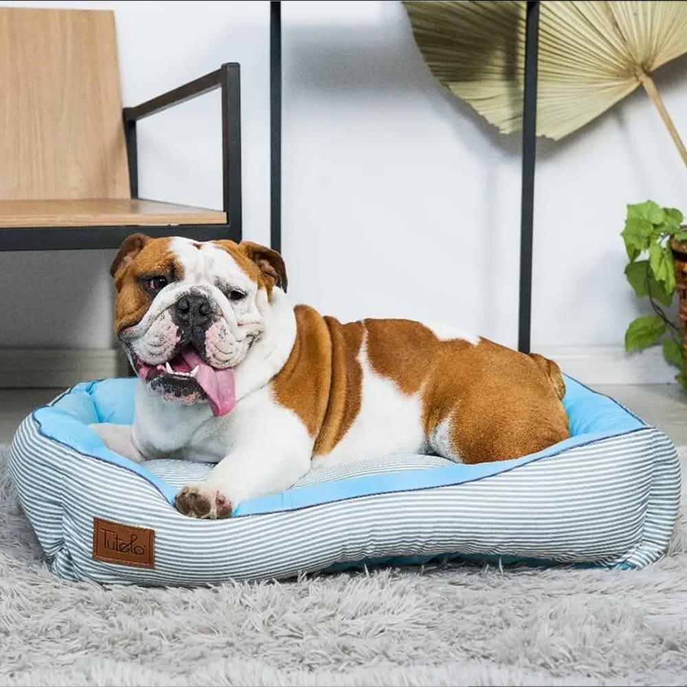 image_ae58ad89-49a2-4d18-9d37-a1cfcd12a60f