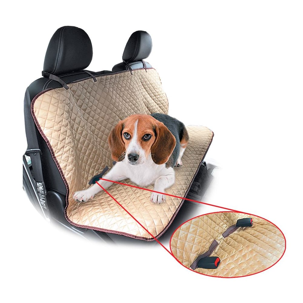 image_4be36a6e-1655-47a3-a387-4f035c3b4a8b