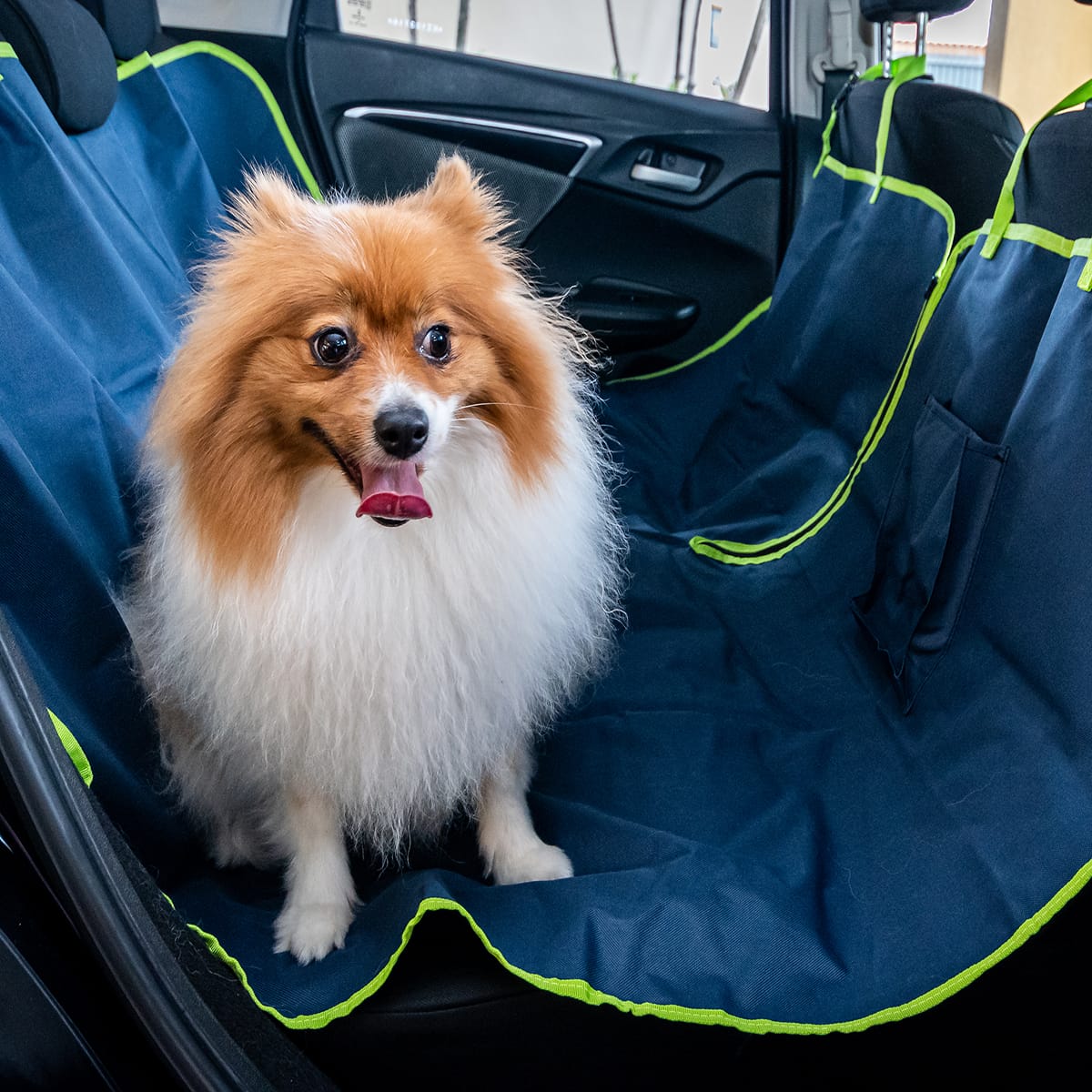 image_2173c150-8103-48df-b0a1-42be0c4b6341