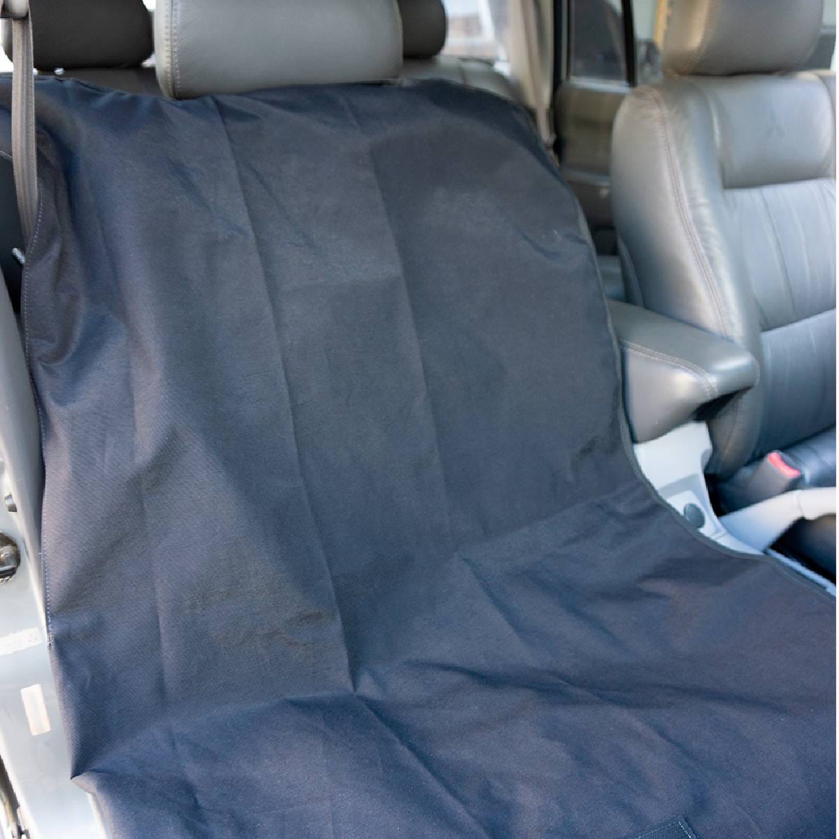 image_f12a5eab-ade9-4331-9cd7-89d01e61ecf6