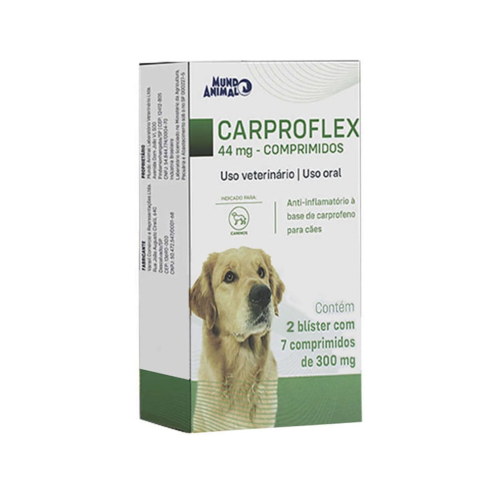 image_70bcbd47-864e-4f03-afd0-79a5a7126df5