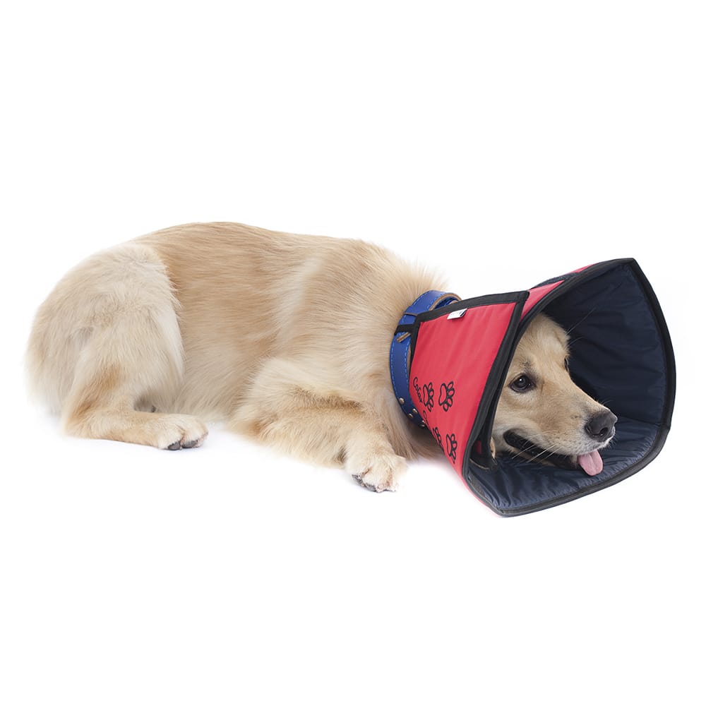 image_7d74930e-6447-44dc-97b9-3ba01373164a