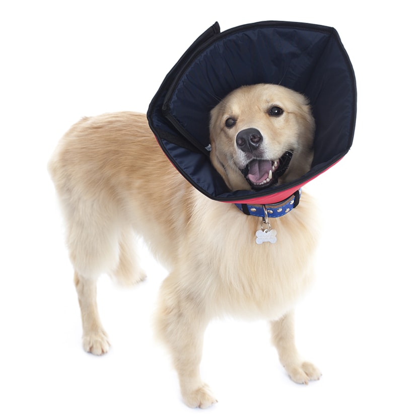 Product main image - 64873b3a-1171-431d-9603-2f98ac7cf801