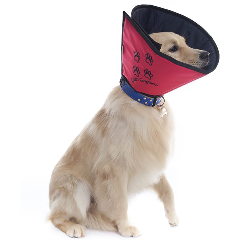 image_9de993a9-3674-4ee4-8316-26b1246c0bf8