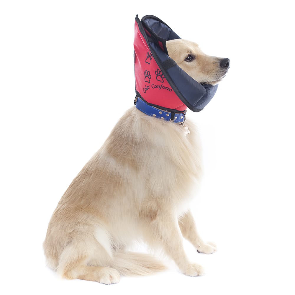 image_5b7304b6-2d56-41fd-8bff-5134f0b2818e