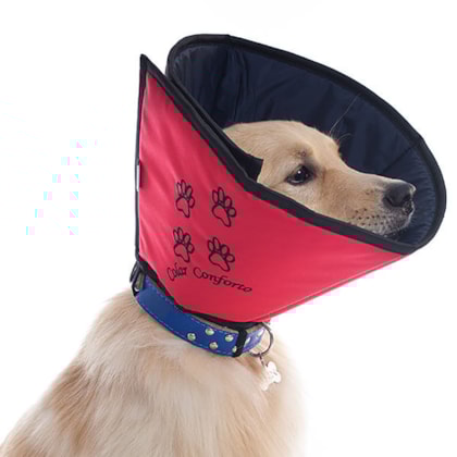 image_e3fa275a-a9f5-4f3b-b100-ae94b9dc7770