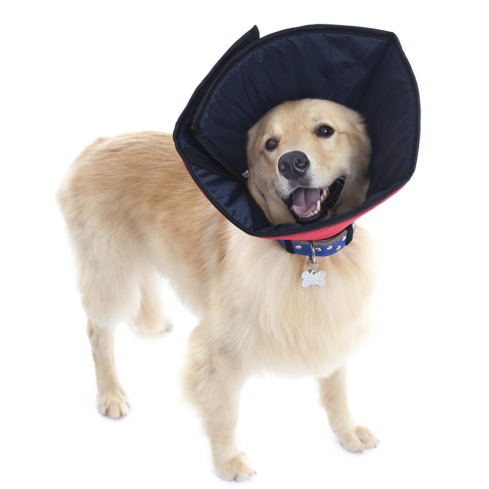 image_af8b4fcf-7680-4bc8-a6f4-46f55af8eee6