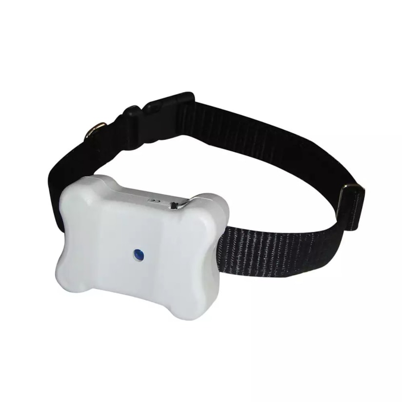 Product main image - 5702a572-8659-4b9f-a4c7-fe2ad2f99d65