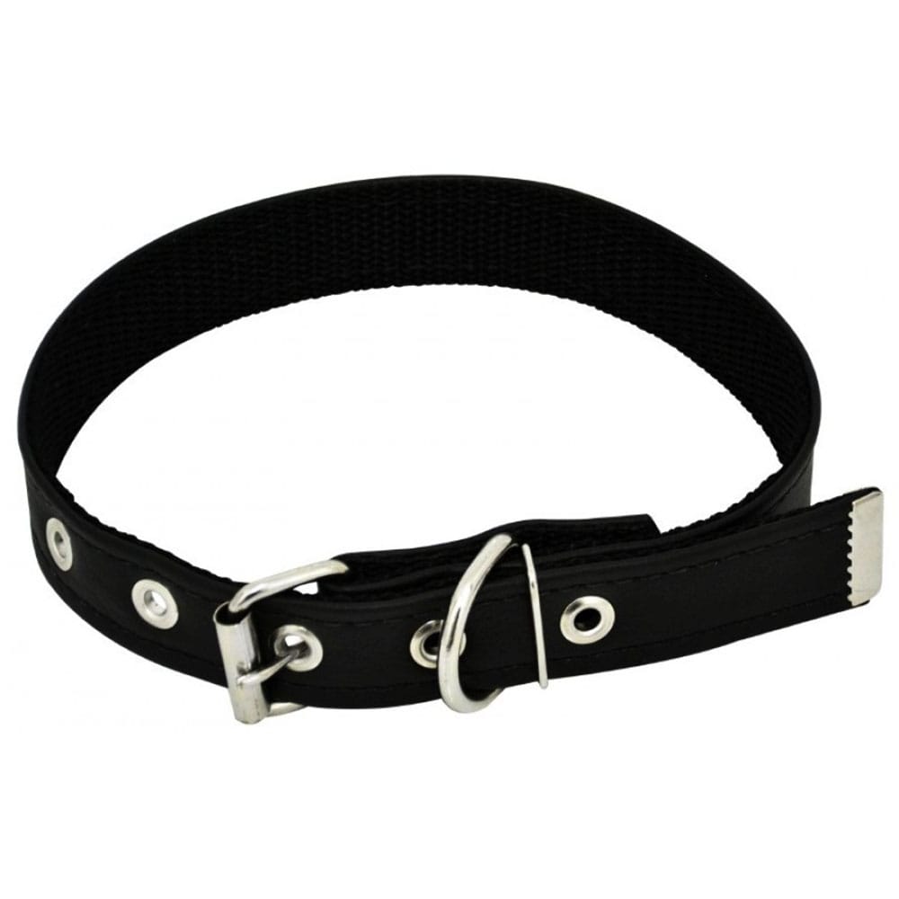 image_06360214-418c-43c1-8b5b-cc6933c0073a