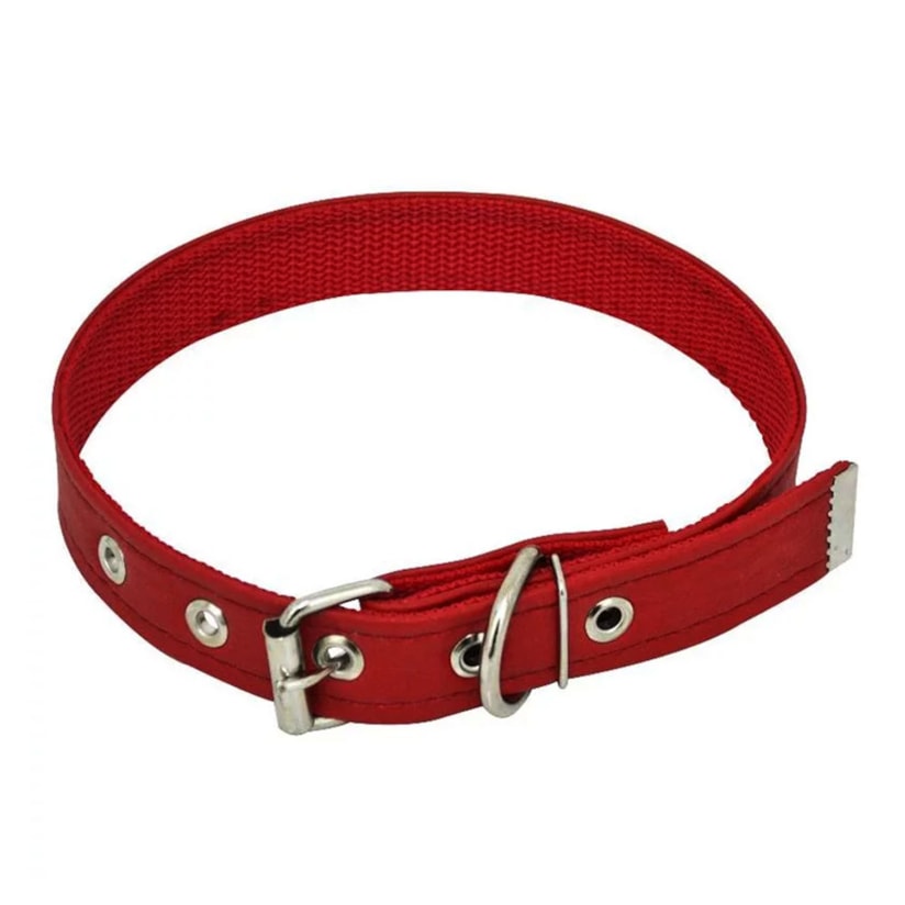 Product main image - 6861d41e-6086-4c1f-af7a-1a4f1c49013b