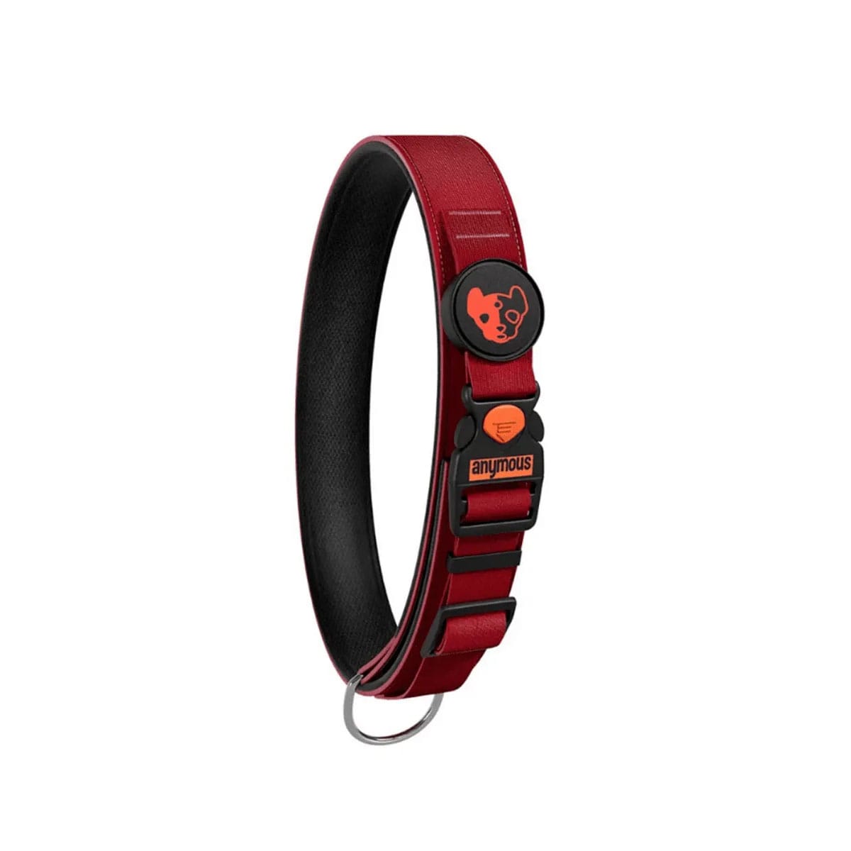 image_00b93e2b-332b-4846-a28b-379f1ee4a6f2