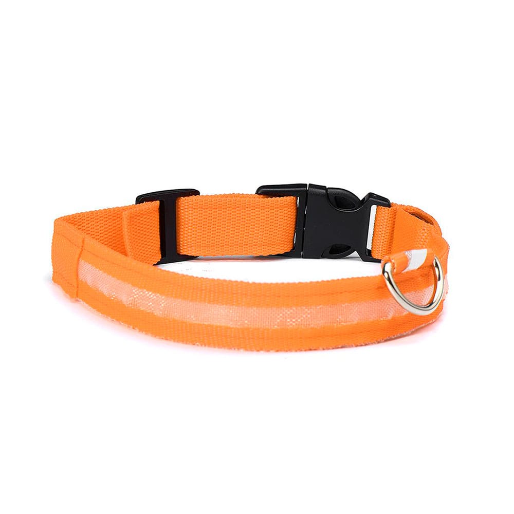 image_9a5c15d8-e5c6-41af-b908-025aa3adfc6f