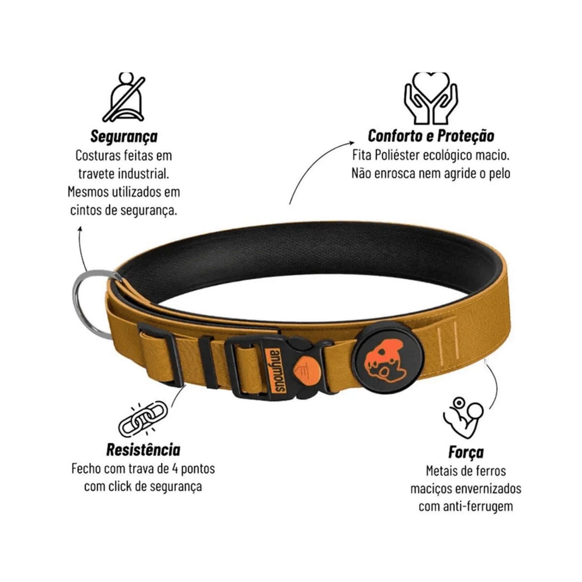 image_45622a03-49da-49b7-a70e-a52b999e6967