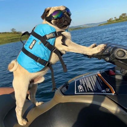 image_2d3f1c26-1291-4fd2-8353-8e6a53686a62