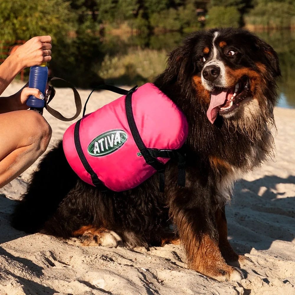 image_850290bd-5579-4ea5-90fa-50863d824cd4