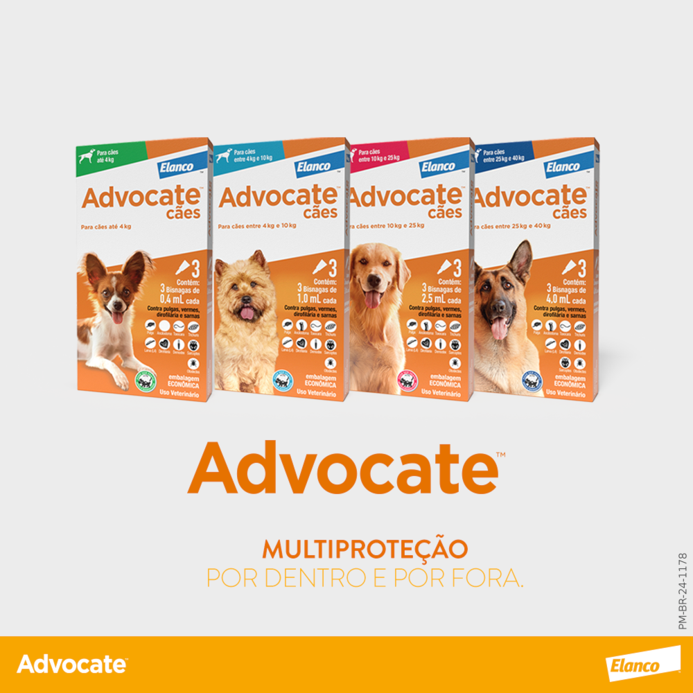 image_d01ab339-cbfe-4d49-bf3d-388aad7171b3