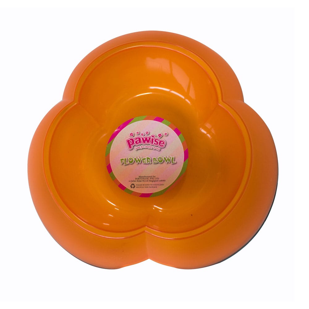 image_5089e11b-0eff-4c03-89b9-db2825bc02f2