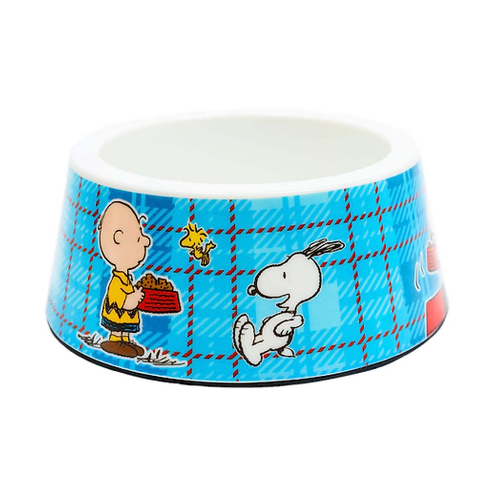 image_953293b5-0fb2-4de2-a77e-d3c99a1f6611