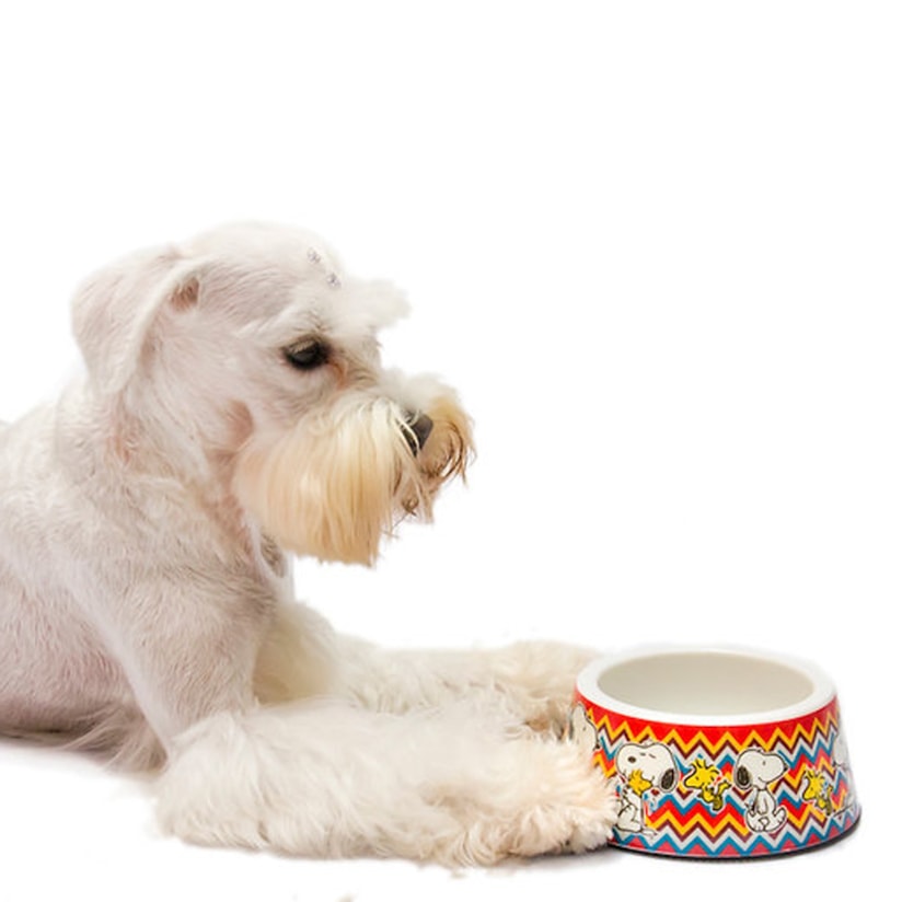 Product main image - d5168424-803d-496d-8f7f-01b3ed470524