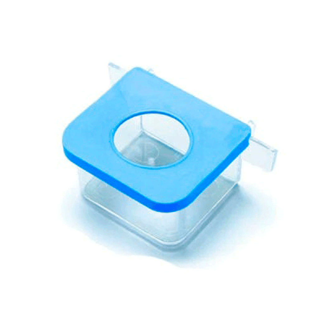 image_962cc785-db71-49b5-82c2-f69dfee30e2b