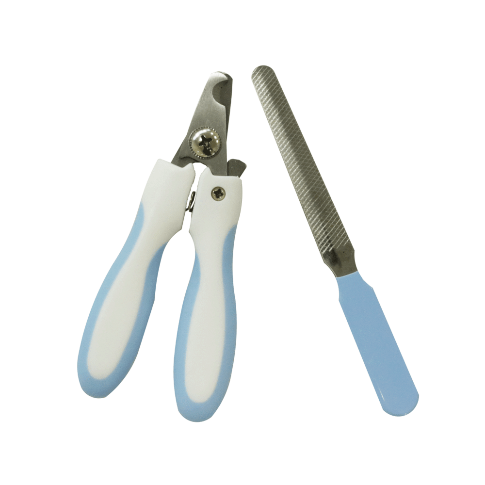 image_bb305b64-3381-4474-9e43-33de8a09ede9