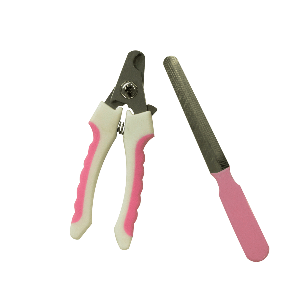 image_b25dff2a-5772-4998-be98-3c3c566a008f