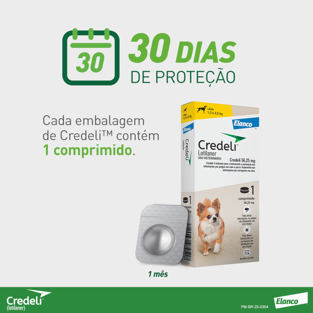 image_03ab8a1c-c538-4fc9-b0fe-8c13bcc01700