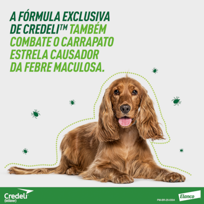 image_0b18d72f-b149-46b6-931d-83d2a5f4b9c7