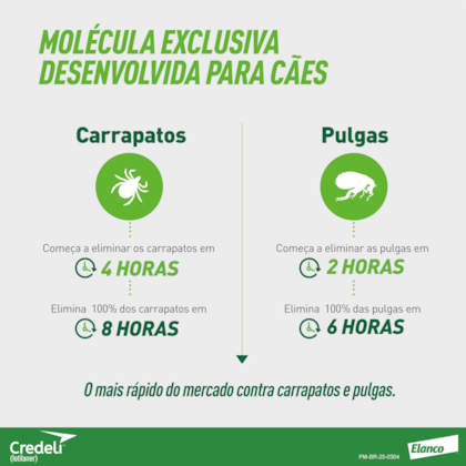 image_c22cc438-ab2f-4a86-833b-9bd240258edf