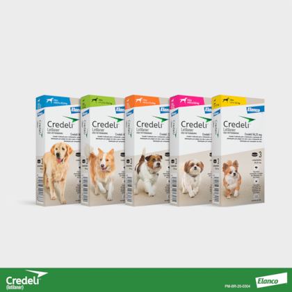 image_6478b64b-9e68-4bb2-941e-272fdae74129