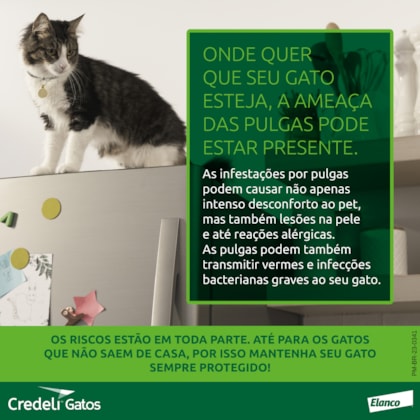 image_6a693a4f-e1d0-4f6b-8b3b-468e2e565471