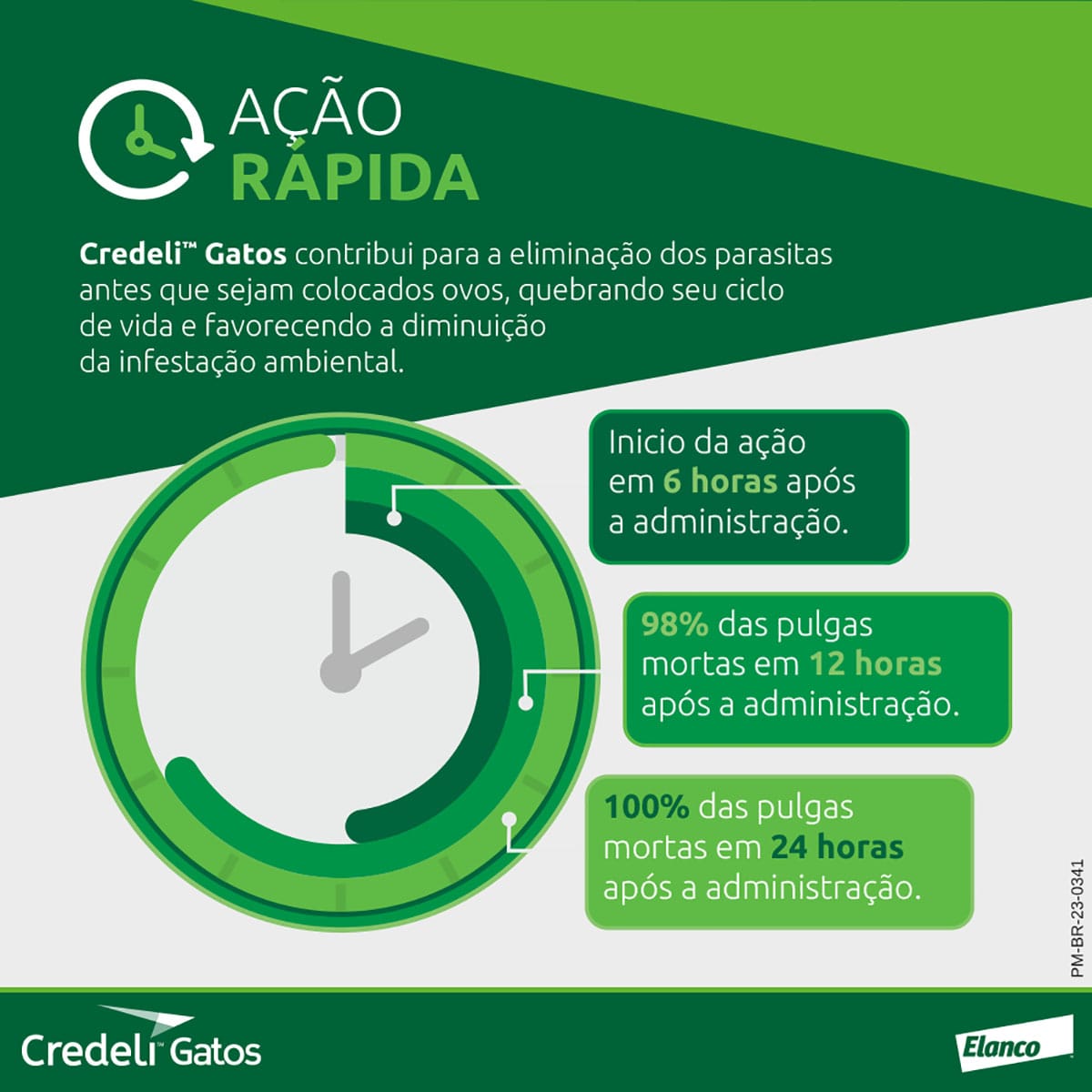 image_8126d08e-b127-4a1e-ab29-9587f03d0846