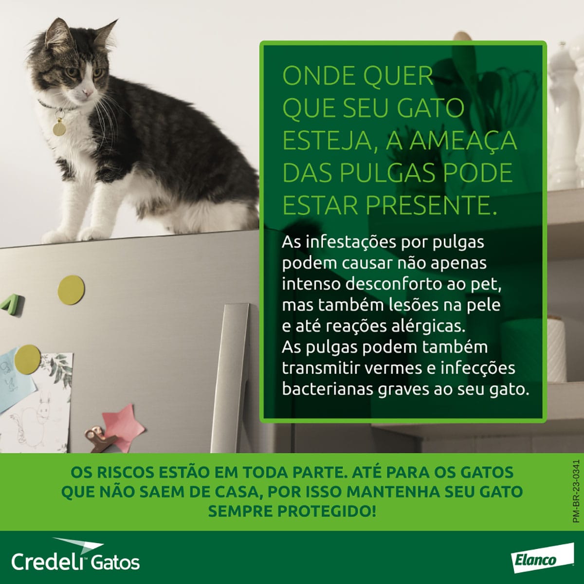 image_bb2ad84b-a3b1-46fe-8cb2-6d374f6eb36d