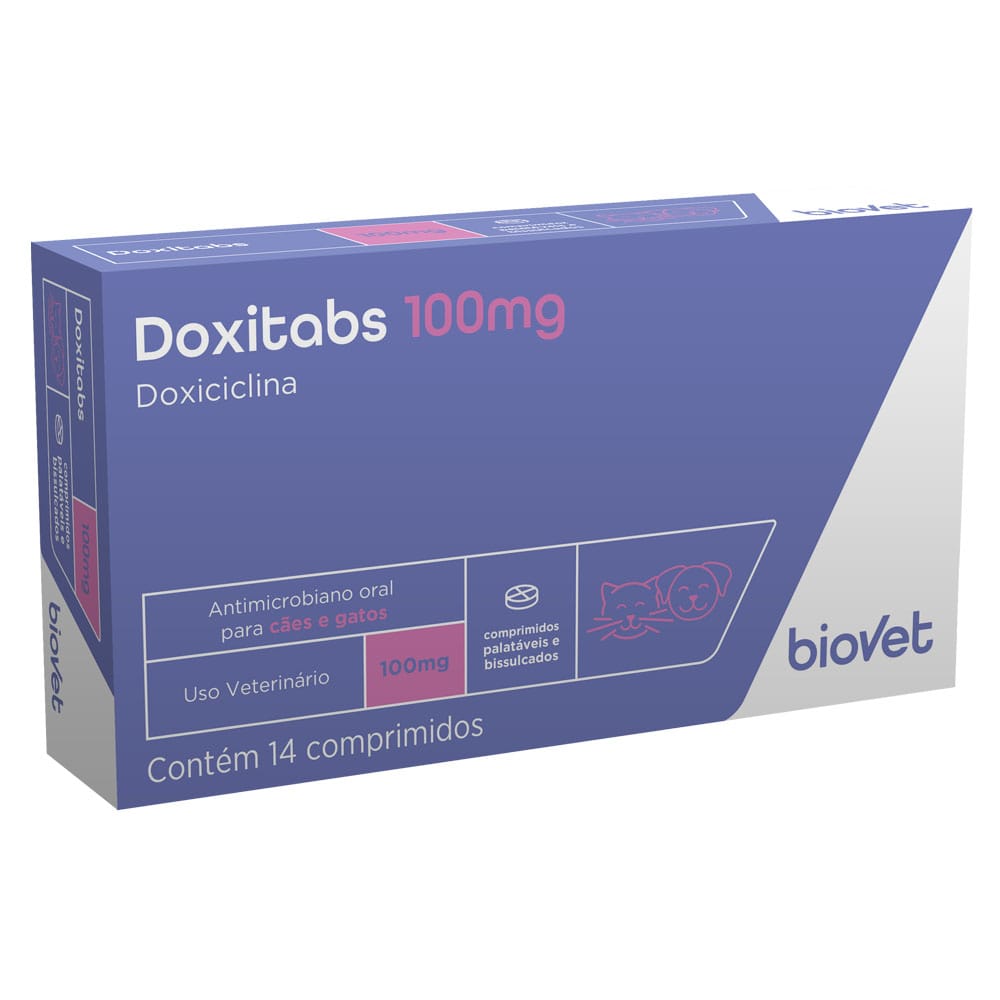 image_ecc6db2d-6385-4d7b-8198-bdcbfe9e71c4